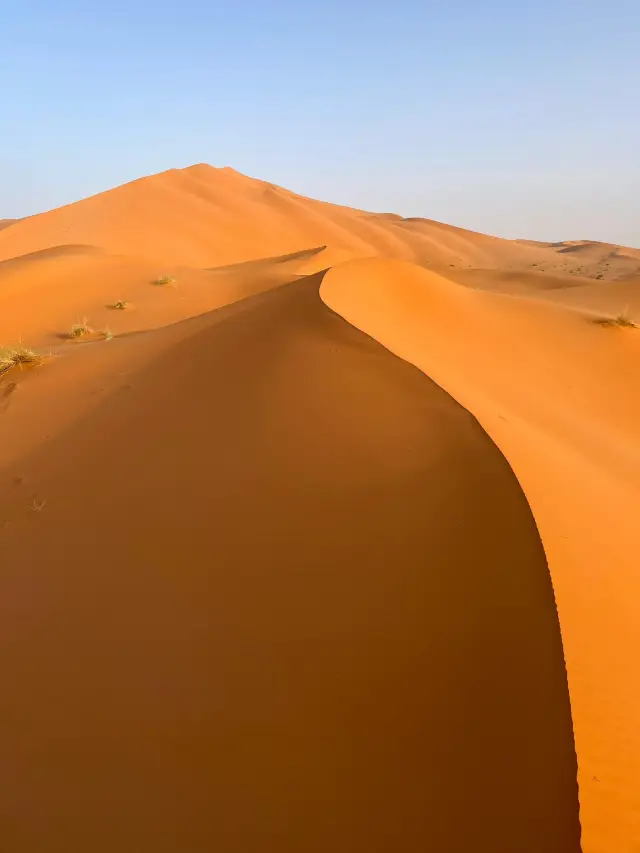 The moment you arrive at the Sahara Desert in a geography book, education forms a closed loop!