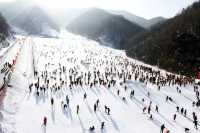 仙境欒川——賞雪滑雪遊玩攻略。