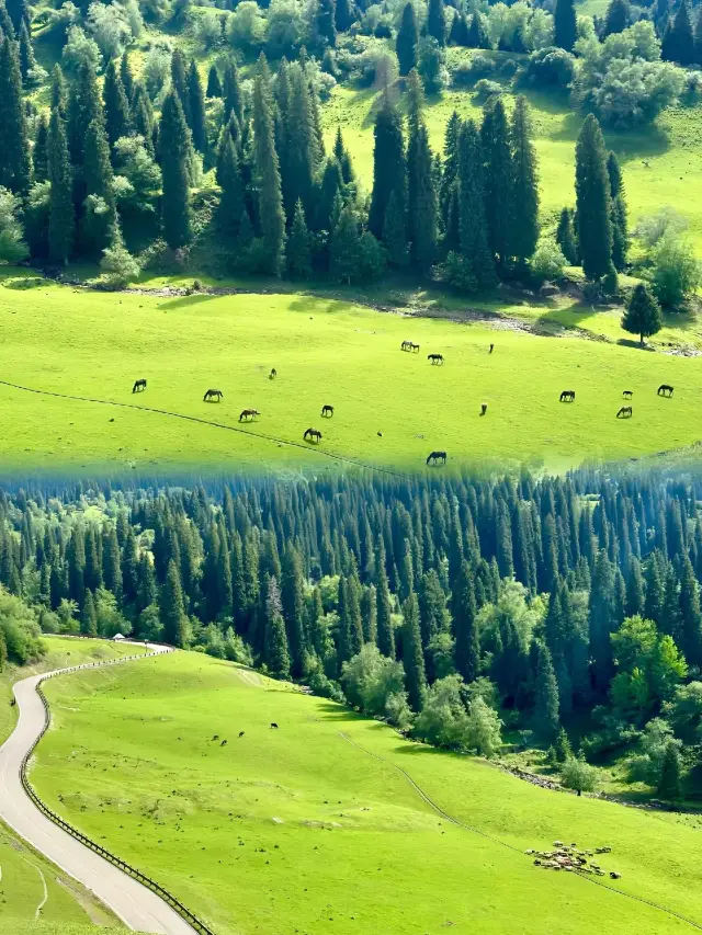 Xinjiang Altay 7 Days 6 Nights Guide | With Detailed Itinerary