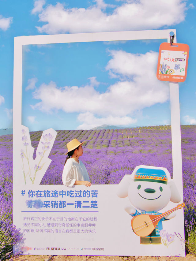 美哭了 夏日伊犁薰衣草山坡已花開成海 賞花徒步攻略