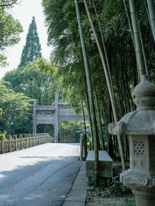 在蘇州安利這條景美新手友好的輕徒步路線