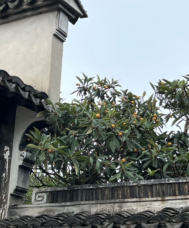蘇州一日遊
