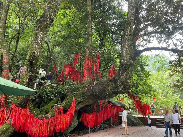 株洲炎帝陵+神農谷兩日遊