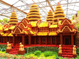 Embark on a marvelous vegetable journey by hiking through the Shouguang Vegetable High-Tech Demonstration Park!