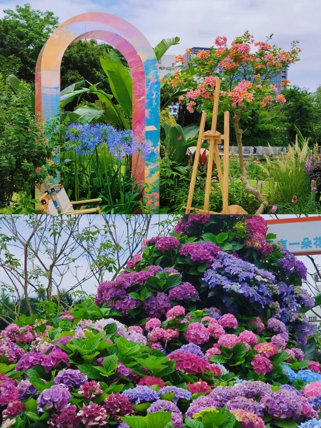 這座綠意盎然的城市，藏著一片城中桃源－南湖公園