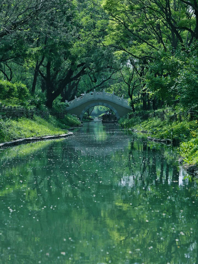 藏在北京的綠野仙蹤，北坞公園絕美打卡地