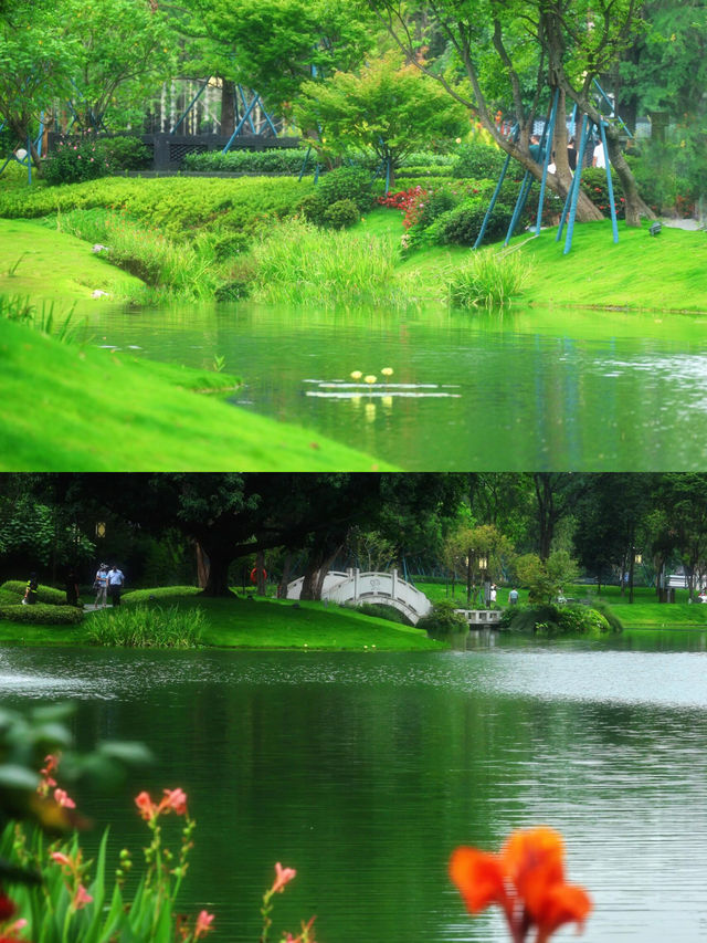 有這樣一個浪漫且獨屬於成都的公園！！摩訶池