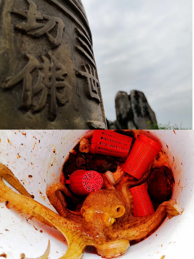 夏日自然要去海邊玩水啦—枸杞島的我們