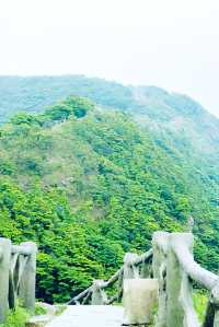 梧桐山登山路線