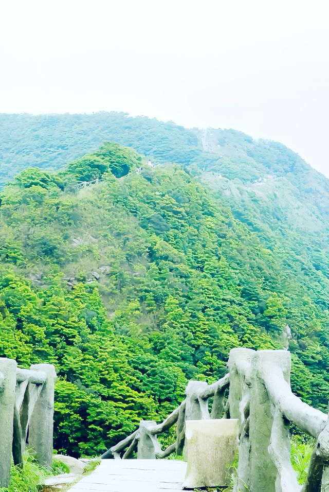 梧桐山登山路線