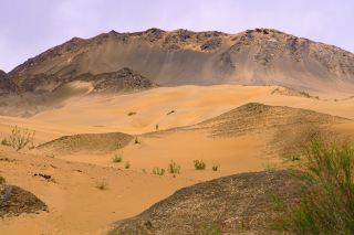 Nature has created the picturesque Duobagou Poplar Gorge