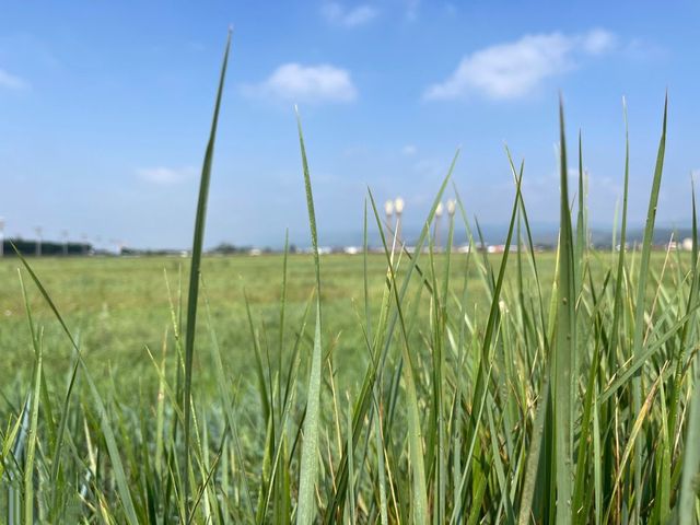 美麗的敕勒川草原