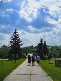 阿西尼博因公園：在這裡可以看到胖嘟嘟的北極熊在你頭頂游泳打鬧