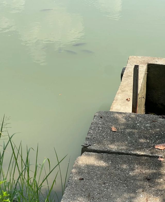 終於打卡了深圳最難約的公園！