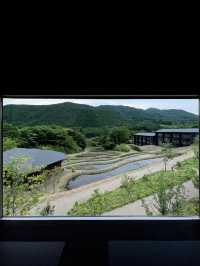 由布院界：山巅的奢華體驗，星野集團下的自然與文化之旅