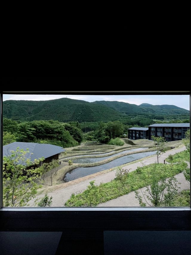 由布院界：山巅的奢華體驗，星野集團下的自然與文化之旅