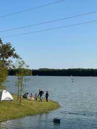 上海海灣森林公園攻略｜小眾不踩雷！