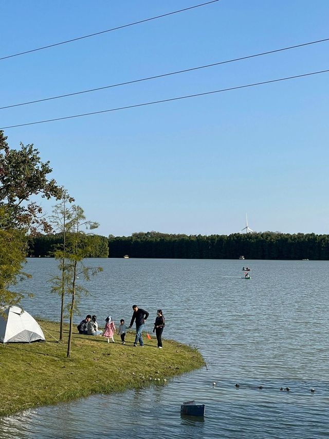 上海海灣森林公園攻略｜小眾不踩雷！