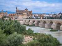 Cordoba’s Iconic Landmark!