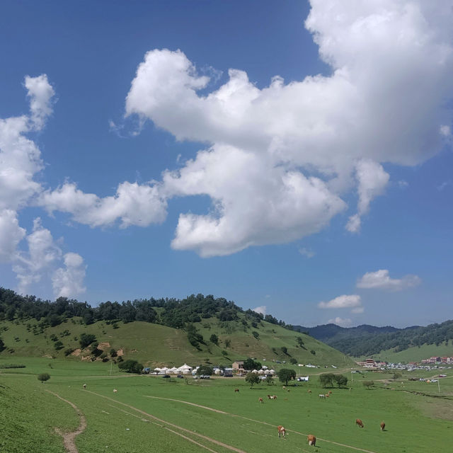 Beautiful grasslands escape in Shaanxi 