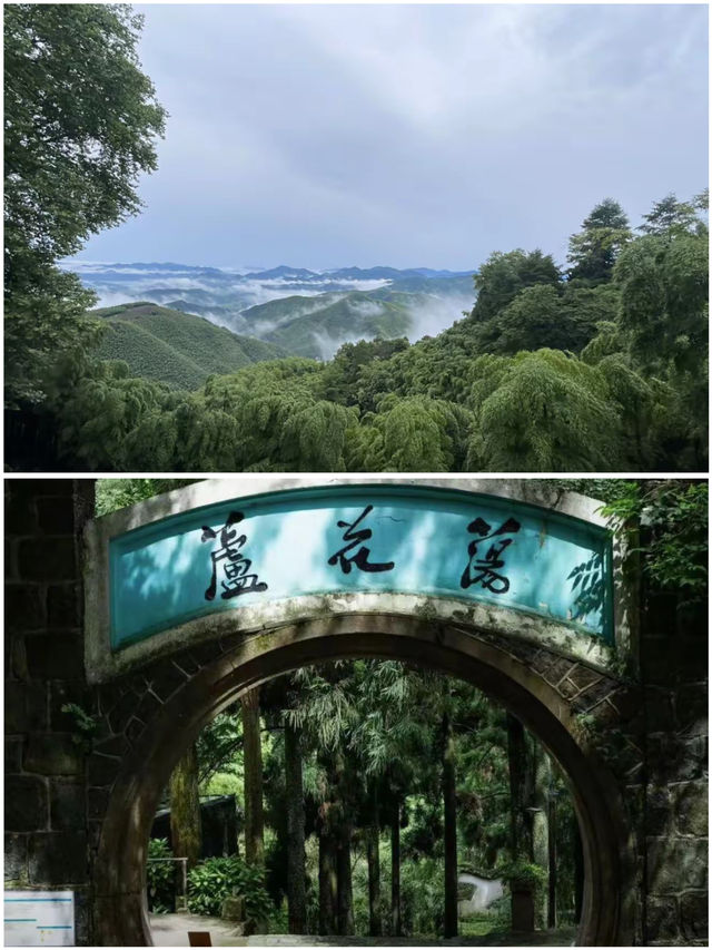 江浙沪2h達被朋友圈問爆的8個躺平遛娃地