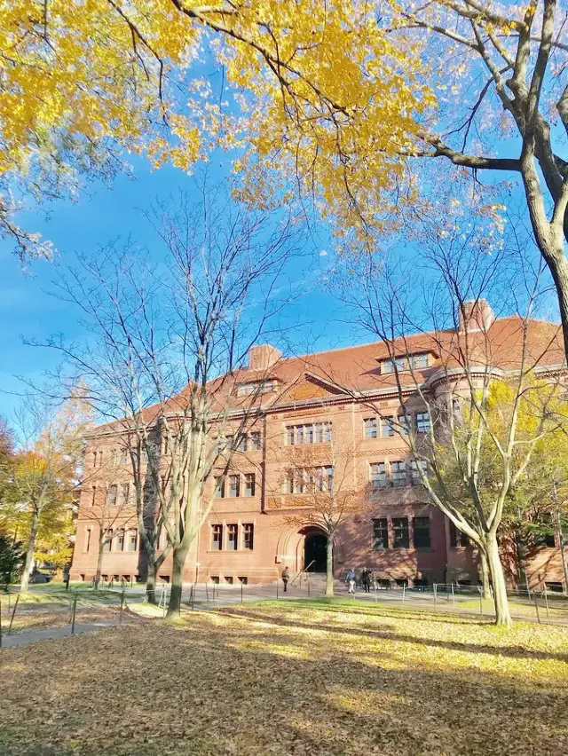 Where to Go in Boston | Step into the Classical Harvard University