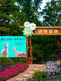 我以為揚州已經很美了，直到我去了鹽城。