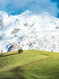 走,帶你進入宮崎駿的漫畫世界。。