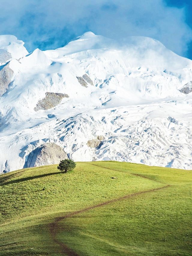 走,帶你進入宮崎駿的漫畫世界。。 走,帶你進入宮崎駿的漫畫世界。。