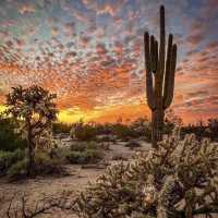 Welcome to Fabulous Four famous cities in the United States