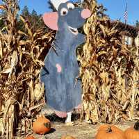 Spooky Halloween Attractions In the Haunted house