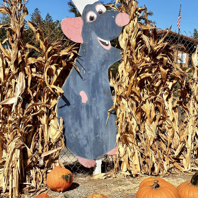 Spooky Halloween Attractions In the Haunted house