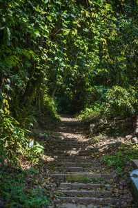 南高峰——杭州滿覺隴賞桂登山好去處。