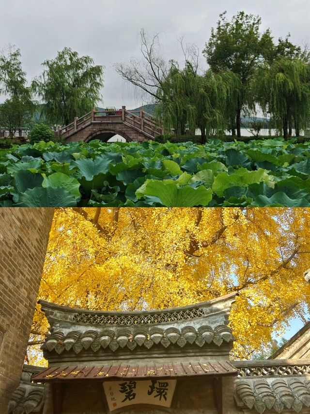剛從徐州回來，3天2夜不踩雷，全是大實話！