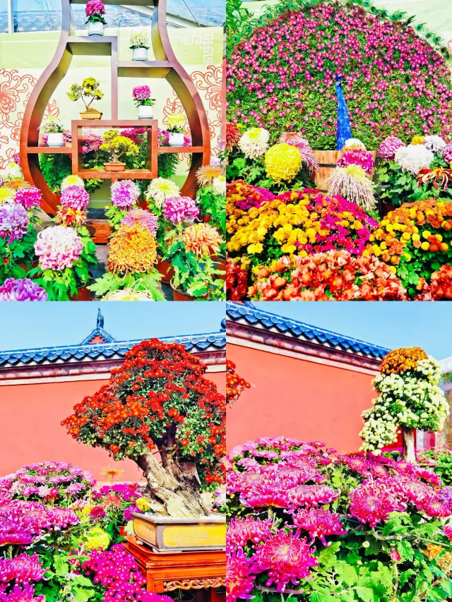 "Beijing Temple of Heaven Park Chrysanthemum Feast" is this flower show your ideal place? 