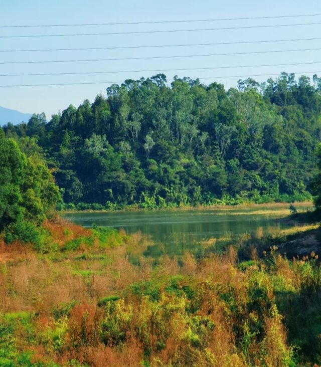 8公里輕鬆徒步：平湖生態園至甘坑古鎮。