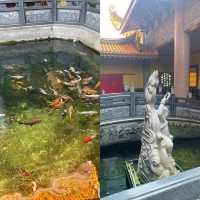 居林旅遊攻略。