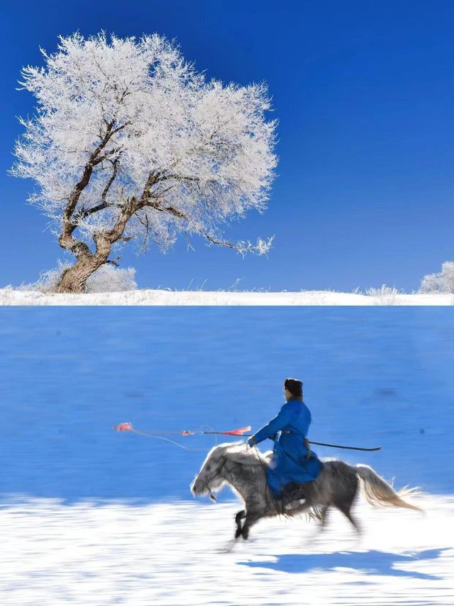 烏蘭布統雪原。