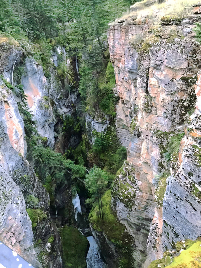 加拿大自然奇觀：Jasper National Park探秘指南