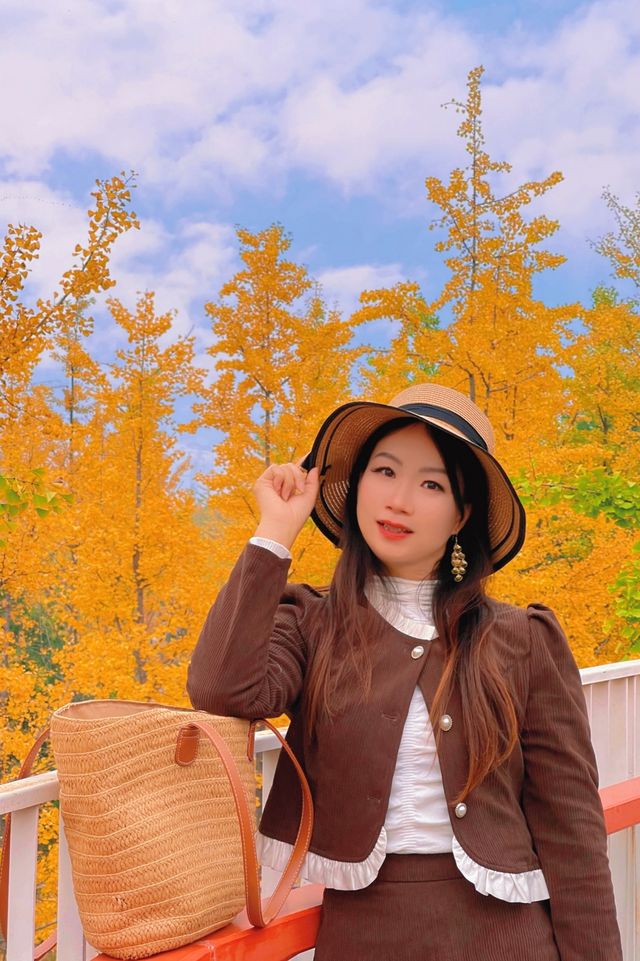雁南公園 | 深秋初冬浪漫遊玩全攻略。