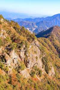 武漢旅遊攻略。