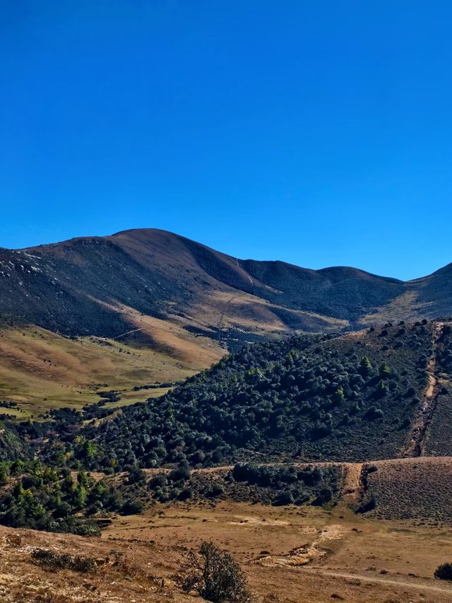 鳥吊山，一個被遺忘的仙境。