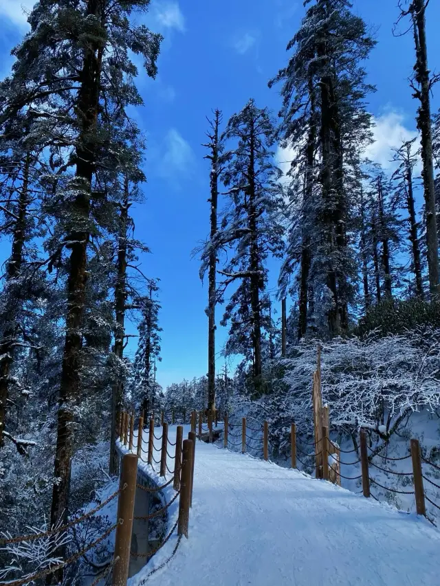 와옥산에서 한 번은 눈을 봐야겠죠.