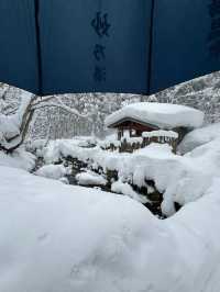 Experience the Enchanting Snowy Wonderland of Japan