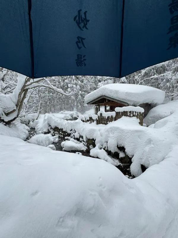 Experience the Enchanting Snowy Wonderland of Japan
