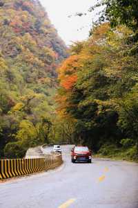 四川小眾紅葉秘境一藏在山裡的扒昔加古寨。