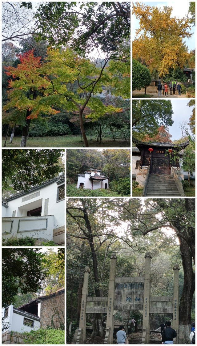 要長壽，到南山。
