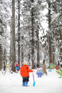 成都周邊｜南方小土豆在瓦屋山看雪，美爆了。