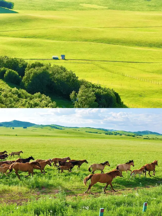 Winter Must-Visit | Chifeng Hot Springs to Warm Your Heart and Body