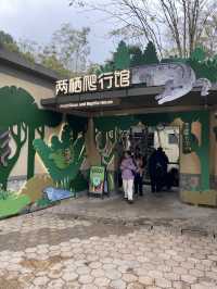 🐘🦒杭州動物園|又去看動物了🥳